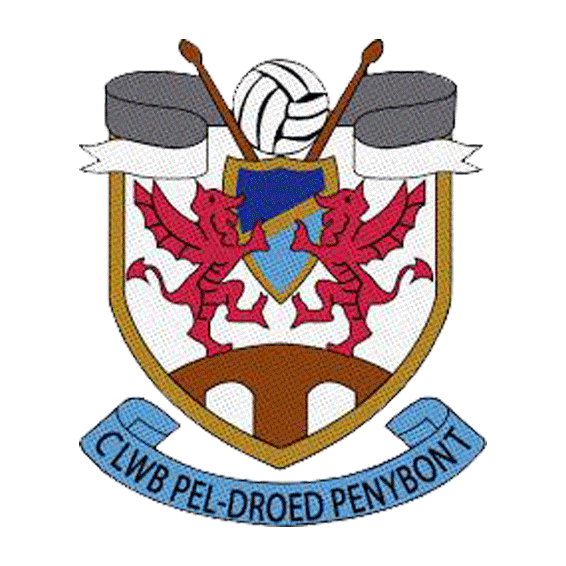 Team logo